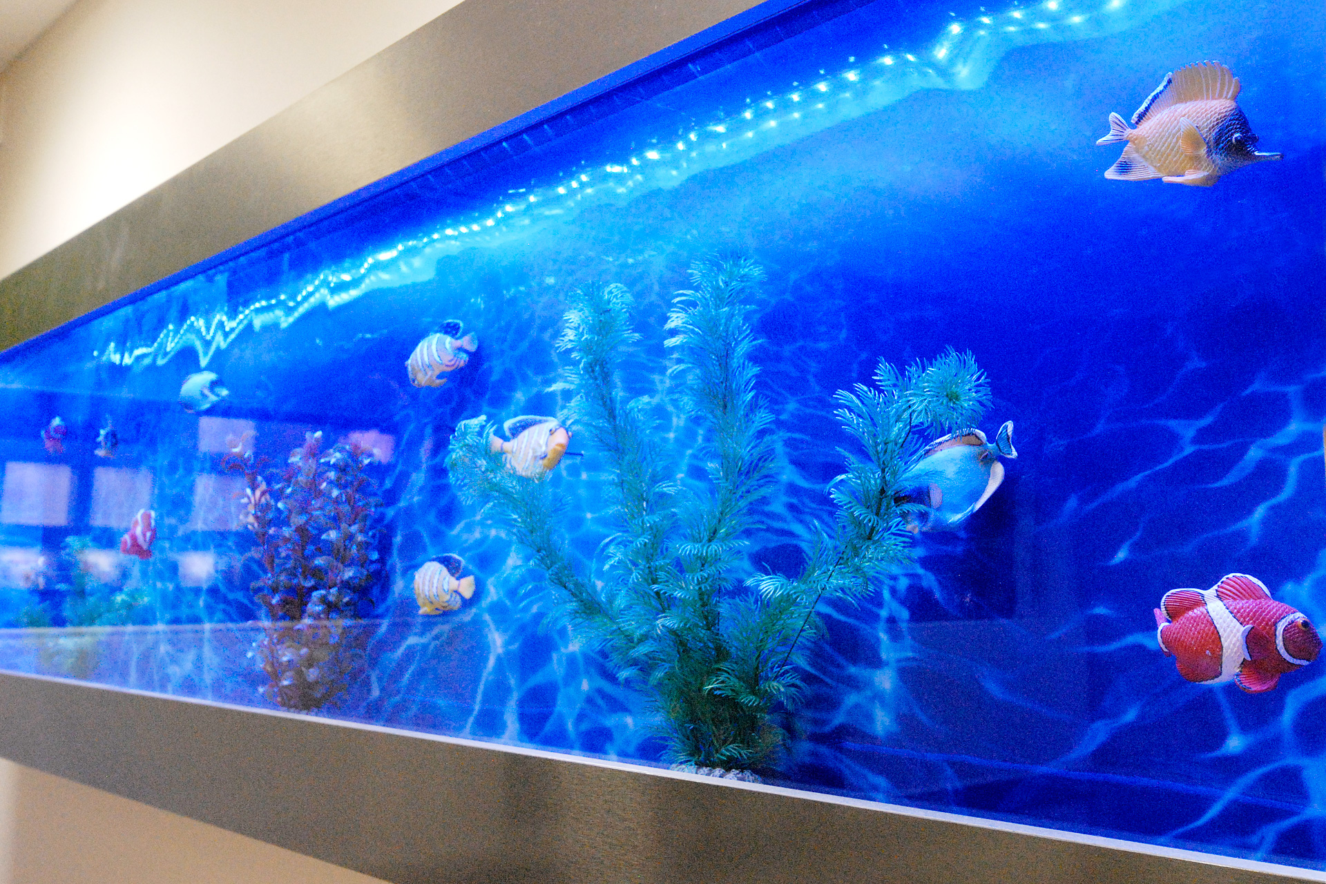 Zahnarztpraxis Sigmaringen Zahnarztpraxis Sigmaringen