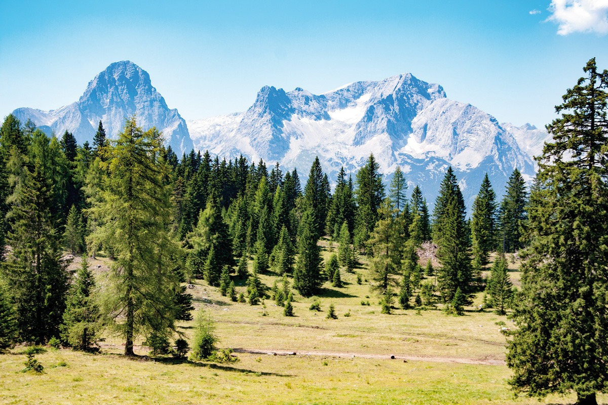 Herzliche Einladung zum Zirben-Sonntag bei Ihr Schreiner Thaler Herzliche Einladung zum Zirben-Sonntag bei Ihr Schreiner Thaler